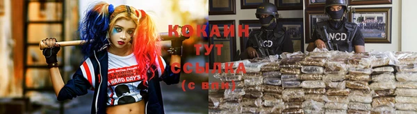 скорость Каменногорск