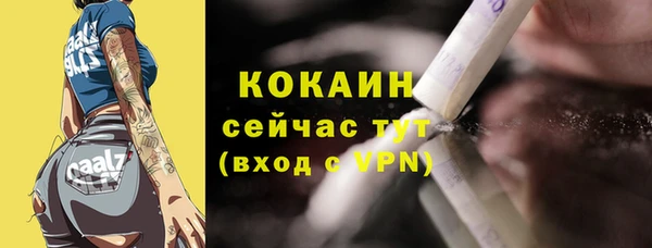 шишки Богородск