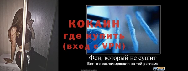 шишки Богородск