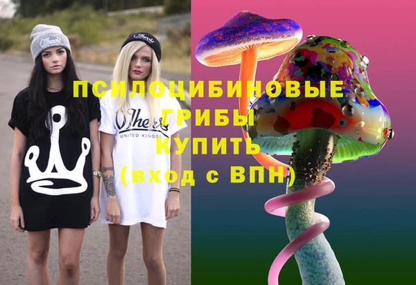шишки Богородск